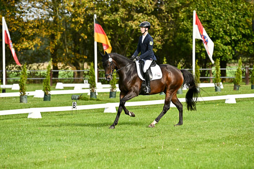  | Max Hausser Knabe - Signums Siggi _10 