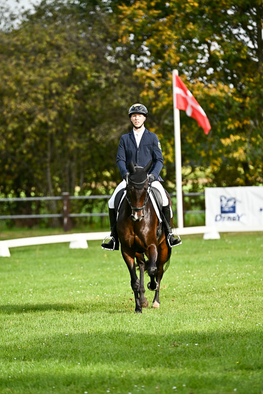  | Max Hausser Knabe - Signums Siggi _11 