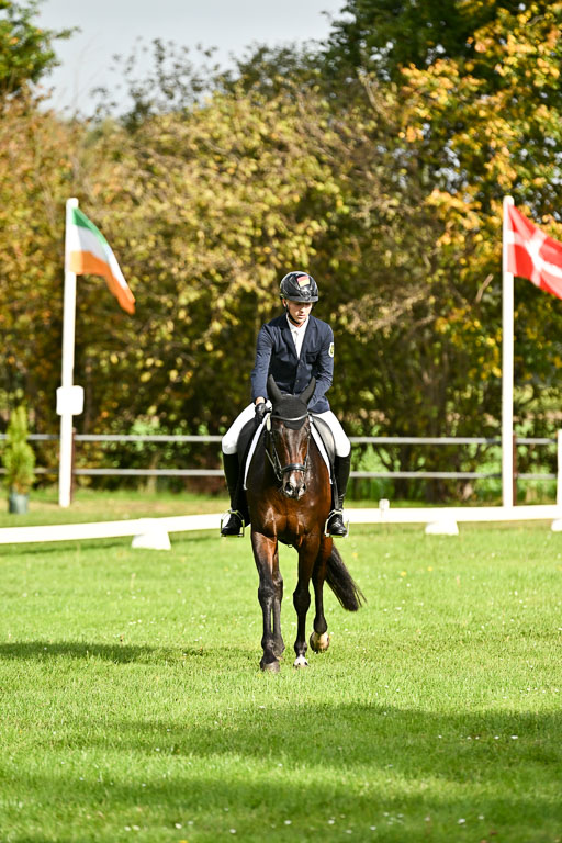  | Max Hausser Knabe - Signums Siggi _14 