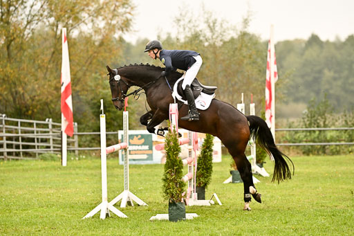  | Max Hausser Knabe - Signums Siggi _19 