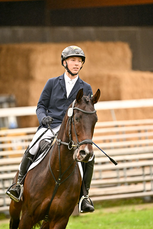  | Max Hausser Knabe - Signums Siggi _20 