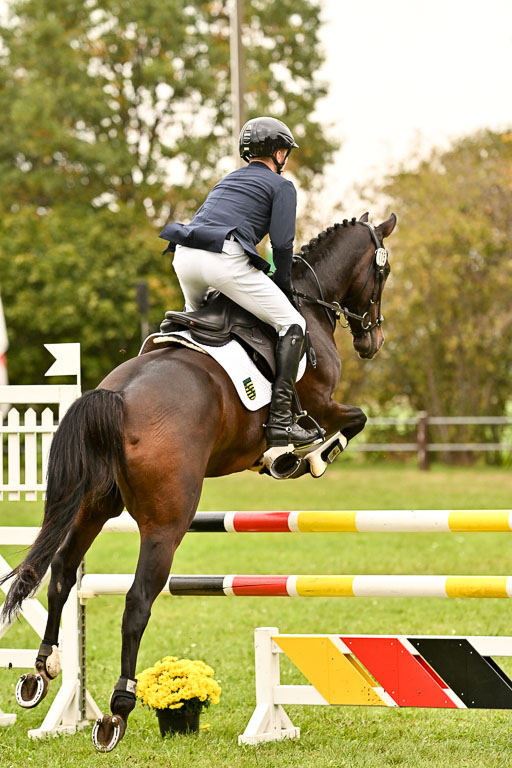  | Max Hausser Knabe - Signums Siggi _21 