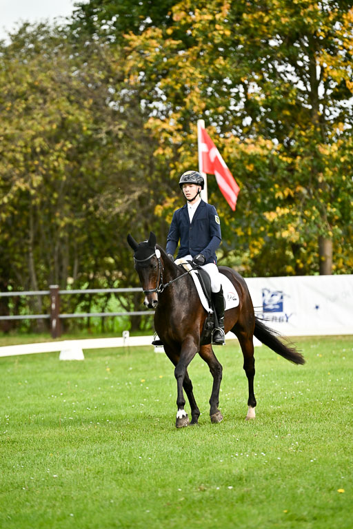  | Max Hausser Knabe - Signums Siggi 