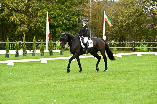 9-12.10.2025 Ströhen | Pheline Lage - Cybercowboy _10 