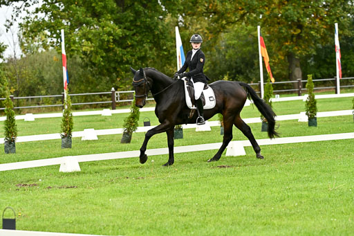 9-12.10.2025 Ströhen | Pheline Lage - Cybercowboy _12 