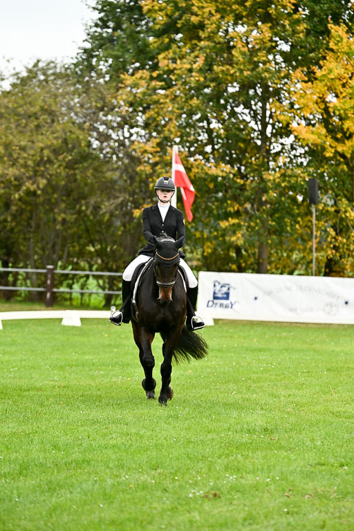 9-12.10.2025 Ströhen | Pheline Lage - Cybercowboy _14 
