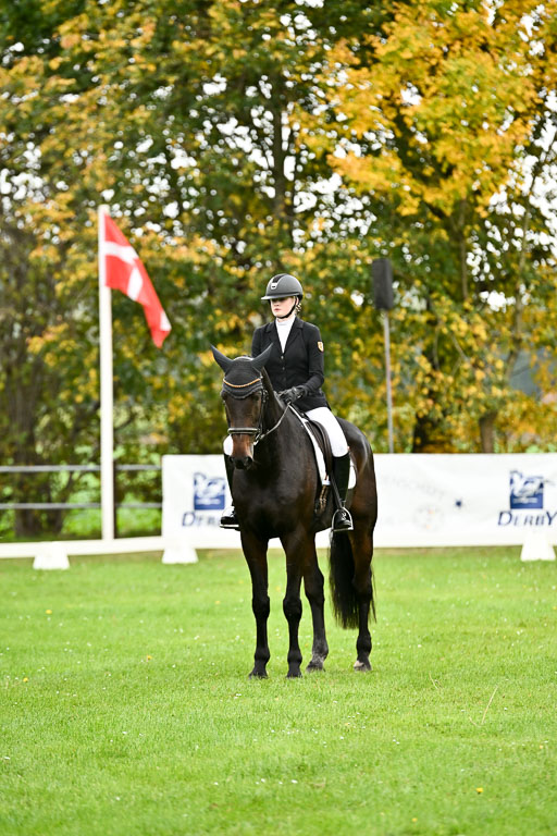 9-12.10.2025 Ströhen | Pheline Lage - Cybercowboy _16 