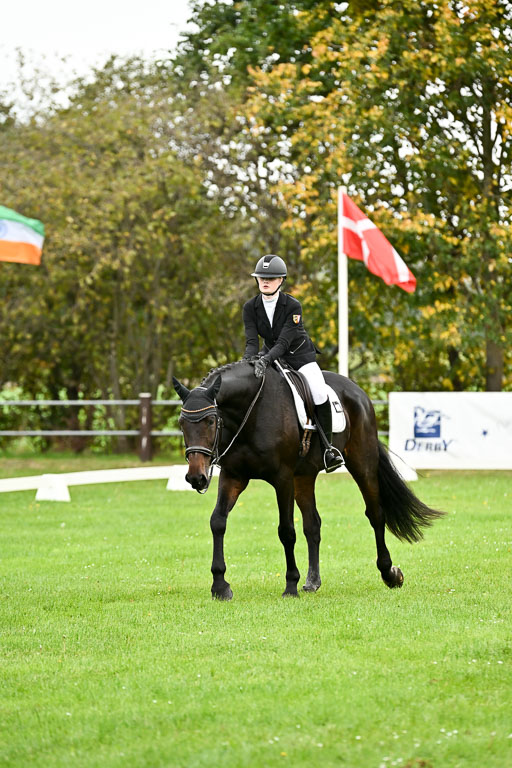 9-12.10.2025 Ströhen | Pheline Lage - Cybercowboy _17 