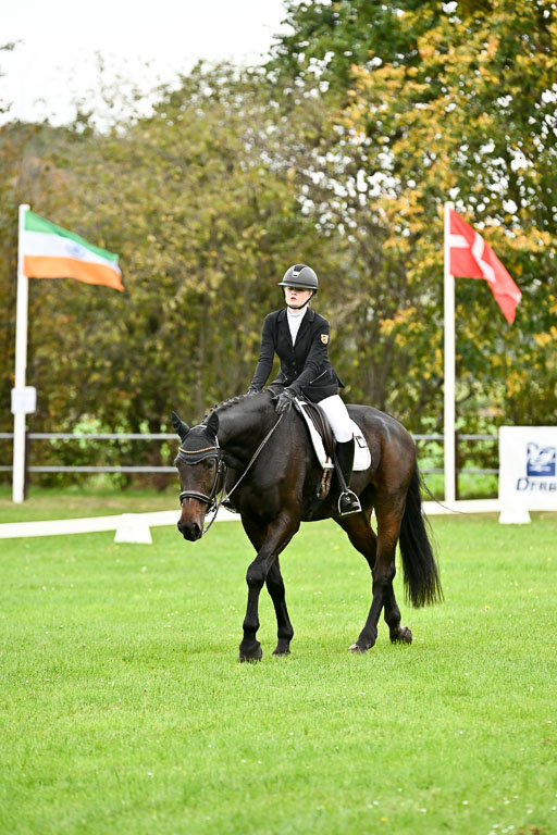 9-12.10.2025 Ströhen | Pheline Lage - Cybercowboy _18 