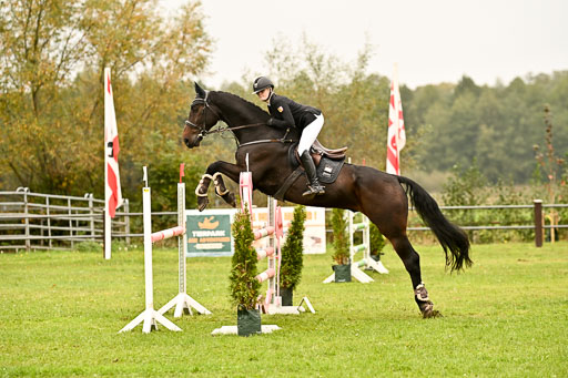 9-12.10.2025 Ströhen | Pheline Lage - Cybercowboy _21 