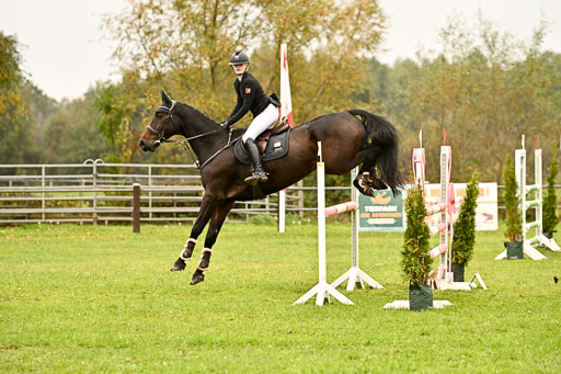 9-12.10.2025 Ströhen | Pheline Lage - Cybercowboy _23 