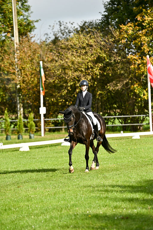 9-12.10.2025 Ströhen | Rieka Marie Schnier - Coco Spring 