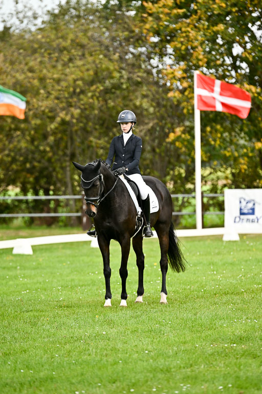 9-12.10.2025 Ströhen | Rieka Marie Schnier - Coco Spring_14 