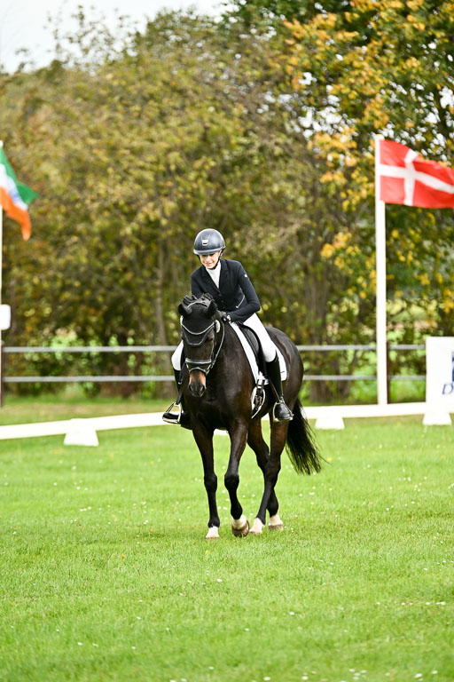 9-12.10.2025 Ströhen | Rieka Marie Schnier - Coco Spring_15 