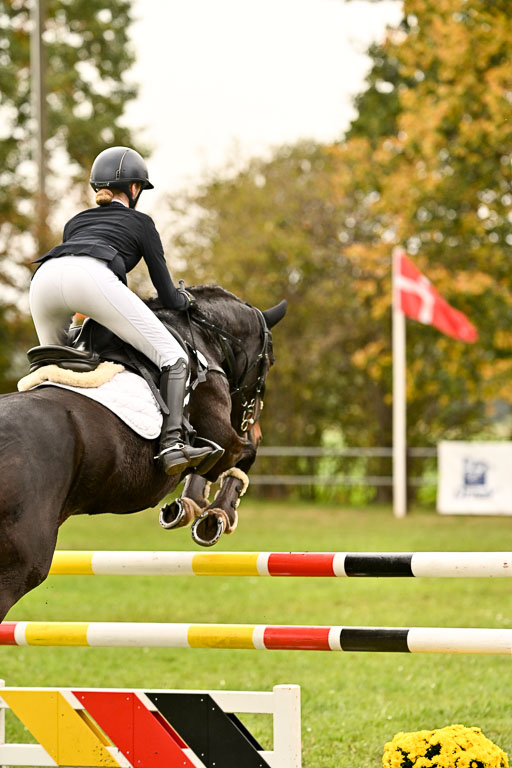 9-12.10.2025 Ströhen | Rieka Marie Schnier - Coco Spring_23 