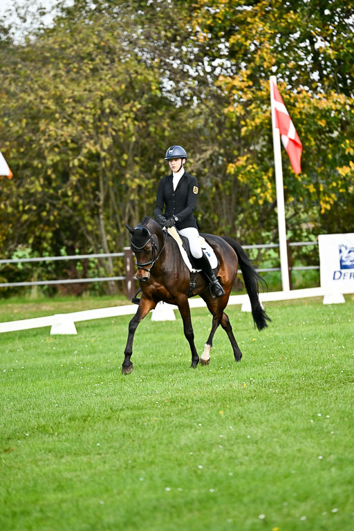  | Sophia Huber - Auhörns Cassiopeia _03 