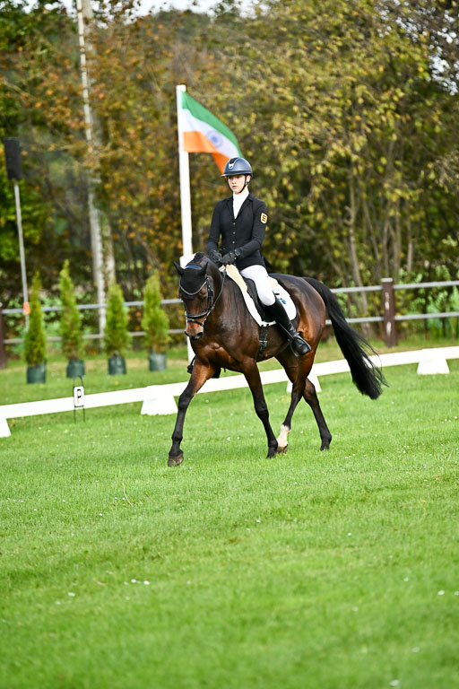  | Sophia Huber - Auhörns Cassiopeia _04 