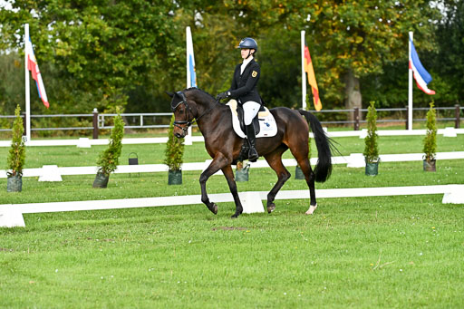  | Sophia Huber - Auhörns Cassiopeia _05 