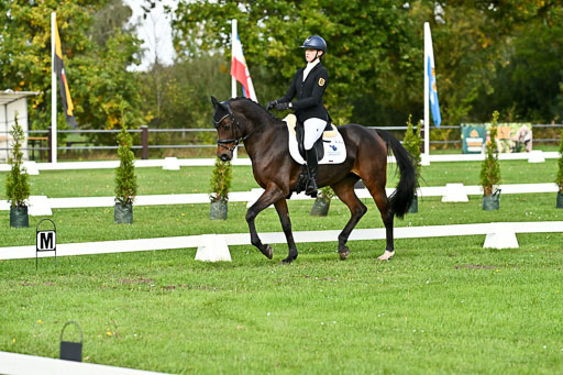  | Sophia Huber - Auhörns Cassiopeia _06 