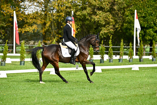  | Sophia Huber - Auhörns Cassiopeia _07 