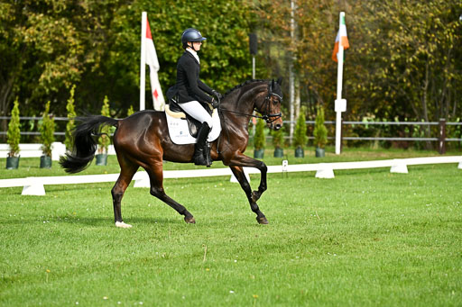  | Sophia Huber - Auhörns Cassiopeia _08 