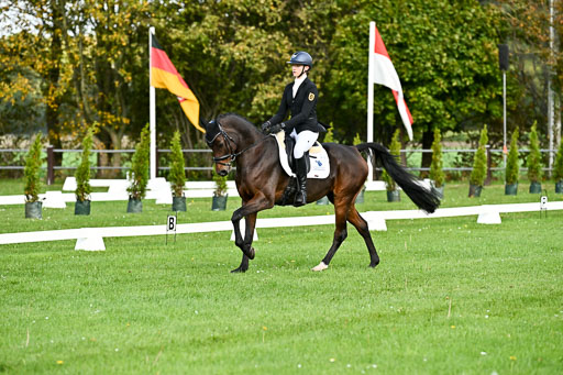  | Sophia Huber - Auhörns Cassiopeia _11 