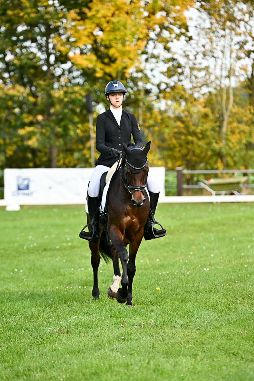  | Sophia Huber - Auhörns Cassiopeia _16 