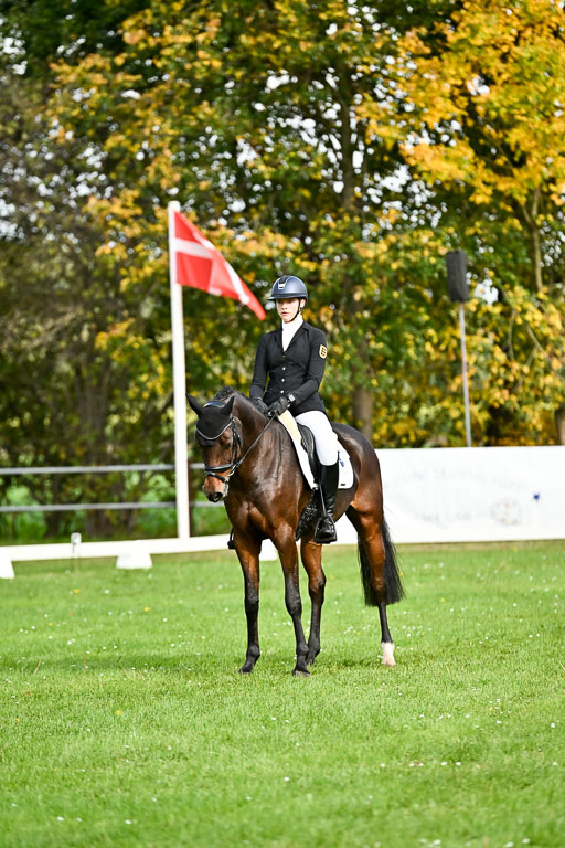  | Sophia Huber - Auhörns Cassiopeia _17 