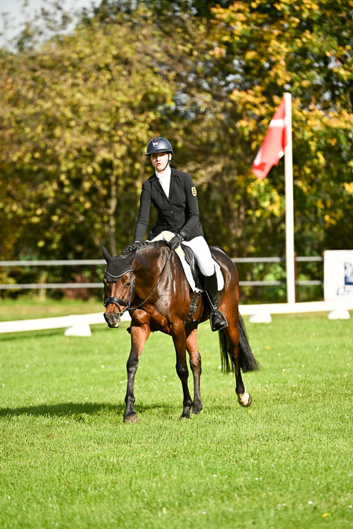  | Sophia Huber - Auhörns Cassiopeia _18 