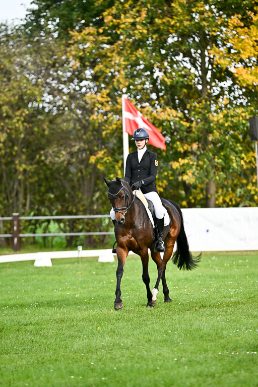  | Sophia Huber - Auhörns Cassiopeia 