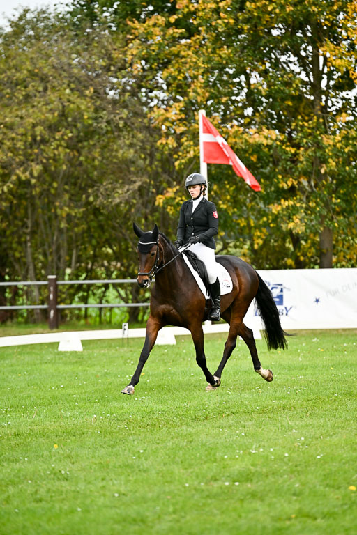 9-12.10.2025 Ströhen | Wilma Ostholt - Crtacks Chica _02 