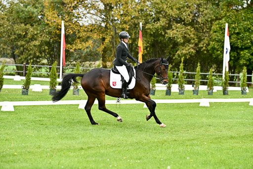 9-12.10.2025 Ströhen | Wilma Ostholt - Crtacks Chica _05 