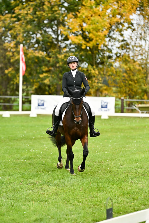 9-12.10.2025 Ströhen | Wilma Ostholt - Crtacks Chica _09 