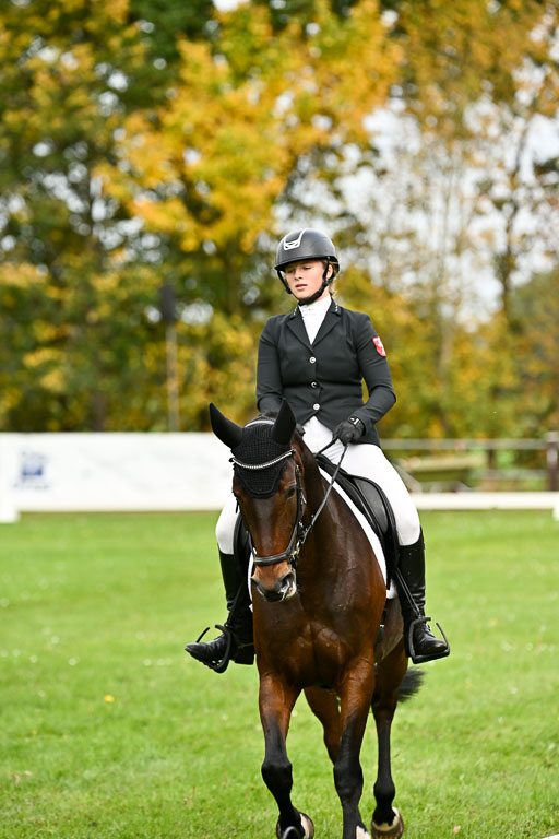 9-12.10.2025 Ströhen | Wilma Ostholt - Crtacks Chica _10 