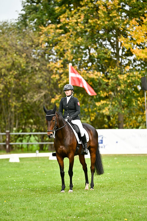 9-12.10.2025 Ströhen | Wilma Ostholt - Crtacks Chica _11 