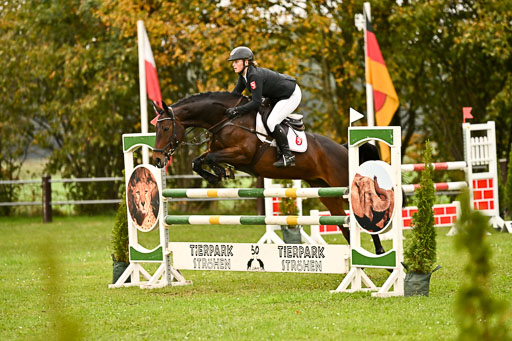 9-12.10.2025 Ströhen | Wilma Ostholt - Crtacks Chica _13 