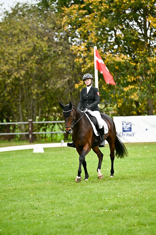 9-12.10.2025 Ströhen | Wilma Ostholt - Crtacks Chica 