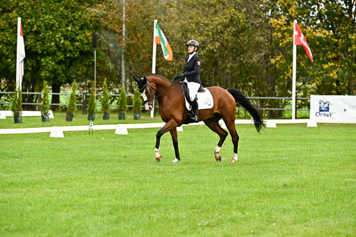 9-12.10.2025 Ströhen | Wilma Ostholt - Dieter _05 