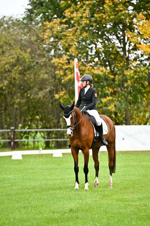 9-12.10.2025 Ströhen | Wilma Ostholt - Dieter _09 