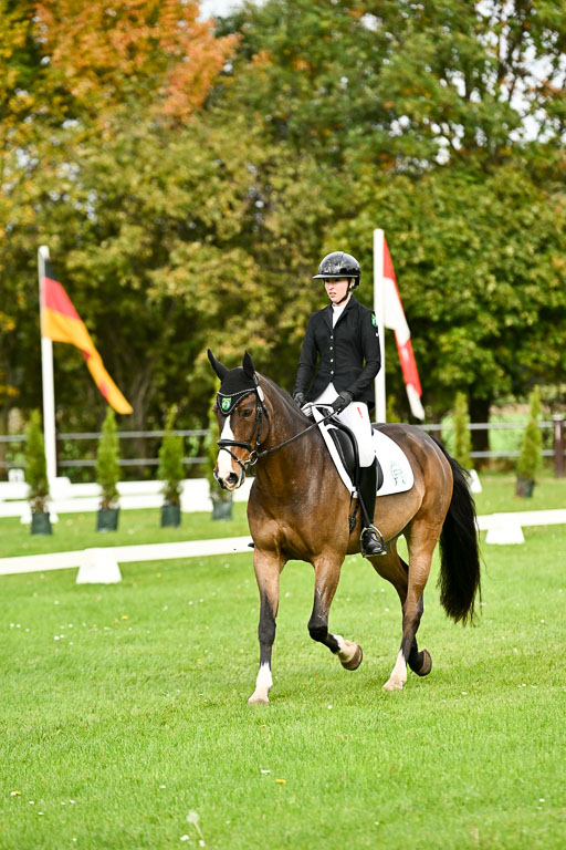 9-12.10.2025 Ströhen | Yosefin Buschmann - Cody _01 