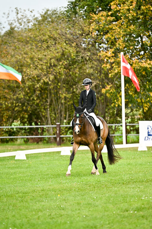 9-12.10.2025 Ströhen | Yosefin Buschmann - Cody _02 