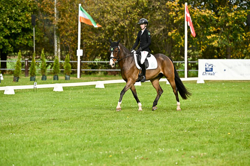 9-12.10.2025 Ströhen | Yosefin Buschmann - Cody _04 