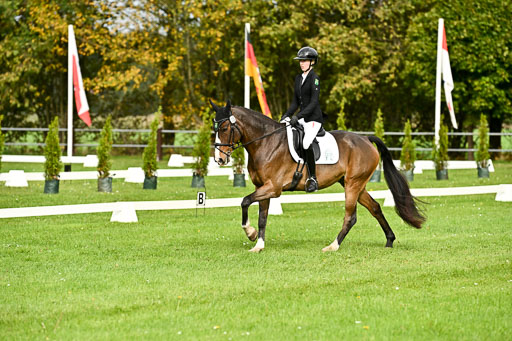 9-12.10.2025 Ströhen | Yosefin Buschmann - Cody _05 