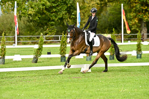 9-12.10.2025 Ströhen | Yosefin Buschmann - Cody _06 