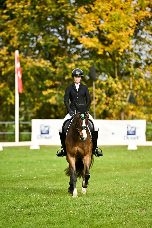 9-12.10.2025 Ströhen | Yosefin Buschmann - Cody _07 