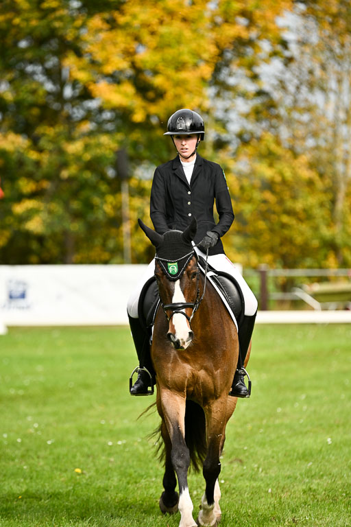 9-12.10.2025 Ströhen | Yosefin Buschmann - Cody _08 