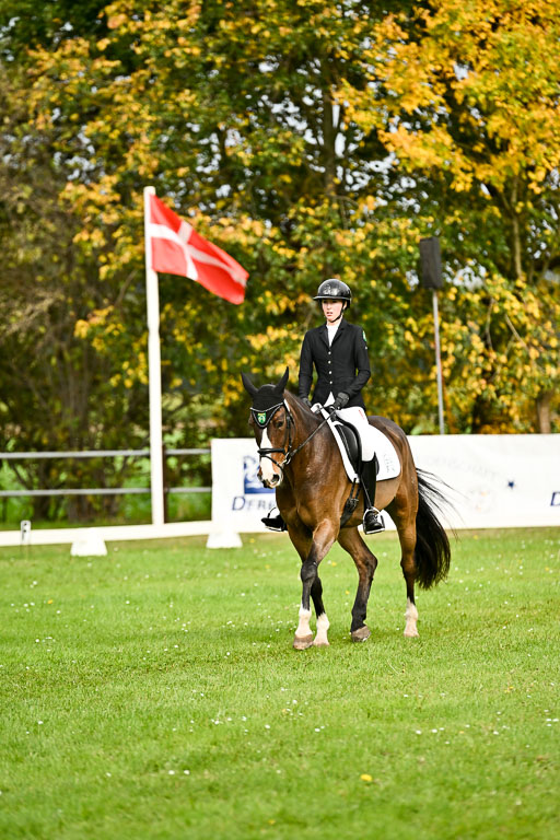 9-12.10.2025 Ströhen | Yosefin Buschmann - Cody _09 