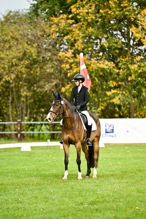 9-12.10.2025 Ströhen | Yosefin Buschmann - Cody _10 