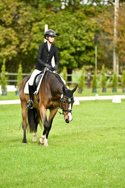 9-12.10.2025 Ströhen | Yosefin Buschmann - Cody _12 