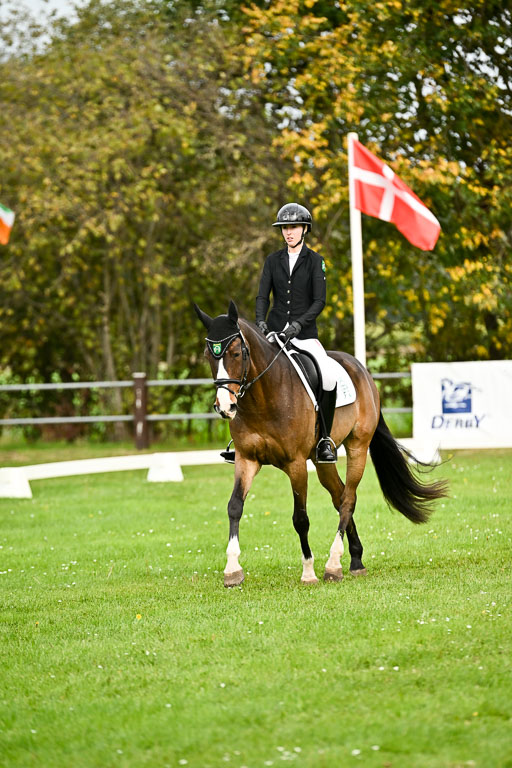 9-12.10.2025 Ströhen | Yosefin Buschmann - Cody 